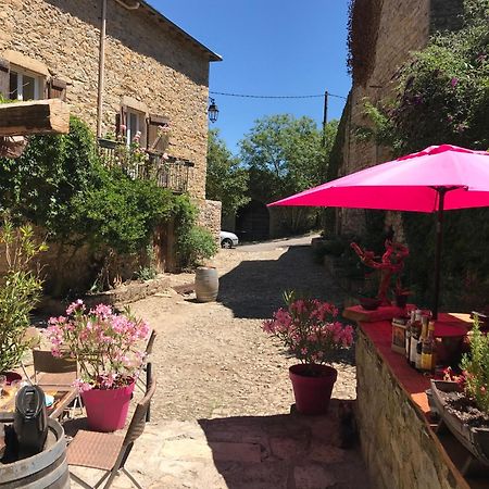 Bed and Breakfast Domaine D'Alcapies Saint-Jean-dʼAlcapiès Exteriér fotografie