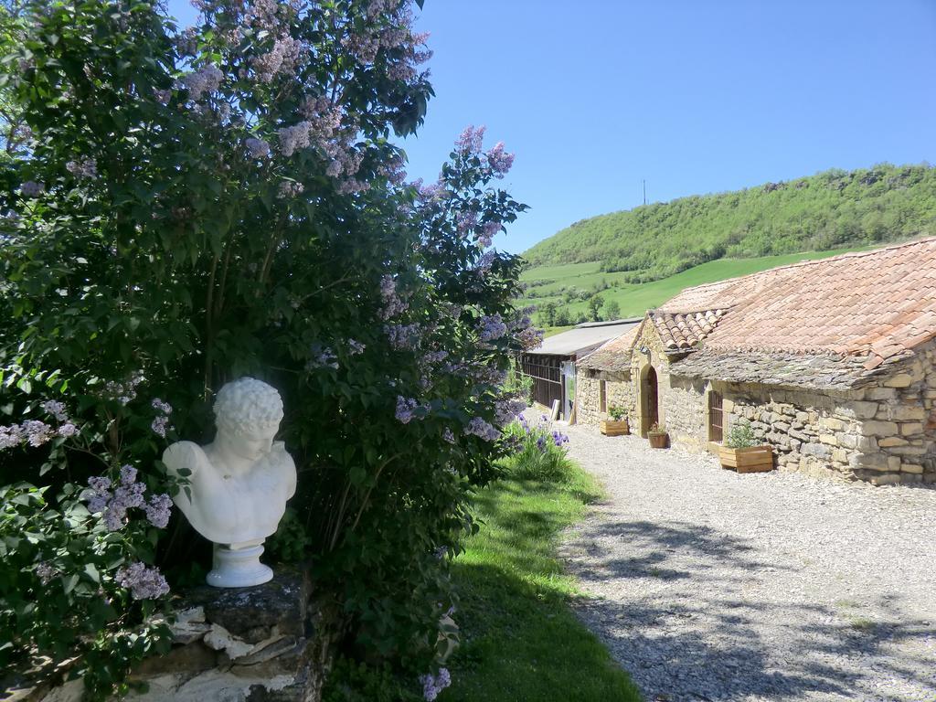 Bed and Breakfast Domaine D'Alcapies Saint-Jean-dʼAlcapiès Exteriér fotografie