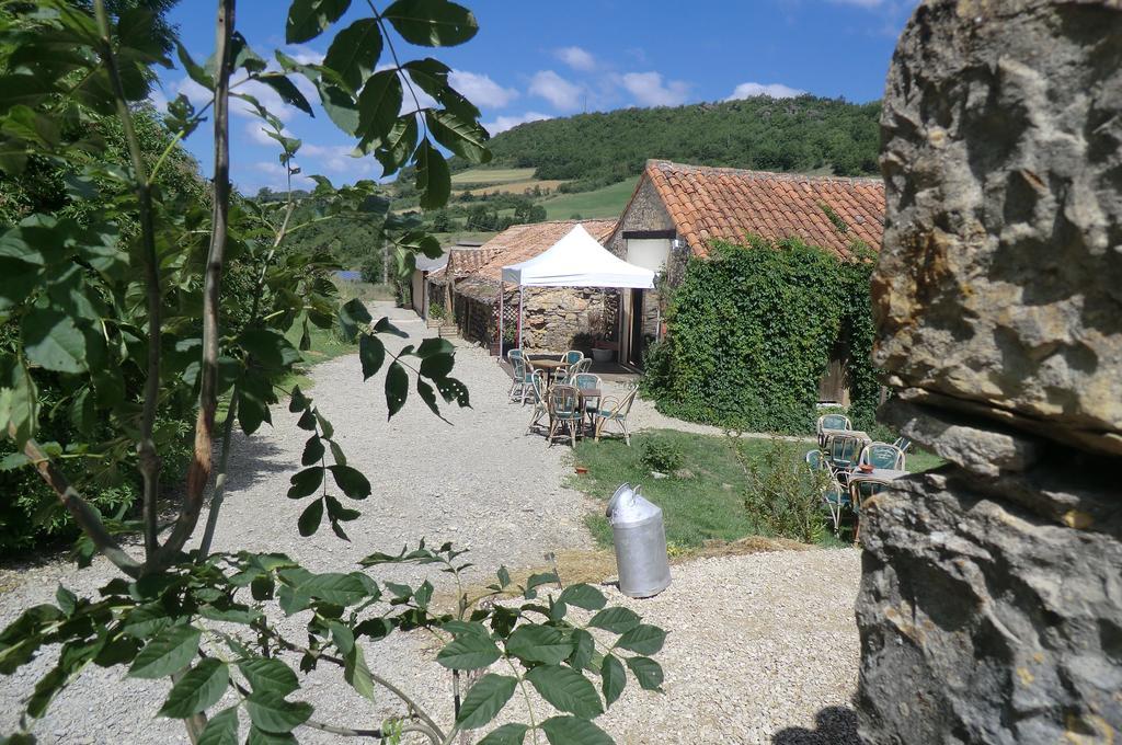 Bed and Breakfast Domaine D'Alcapies Saint-Jean-dʼAlcapiès Exteriér fotografie