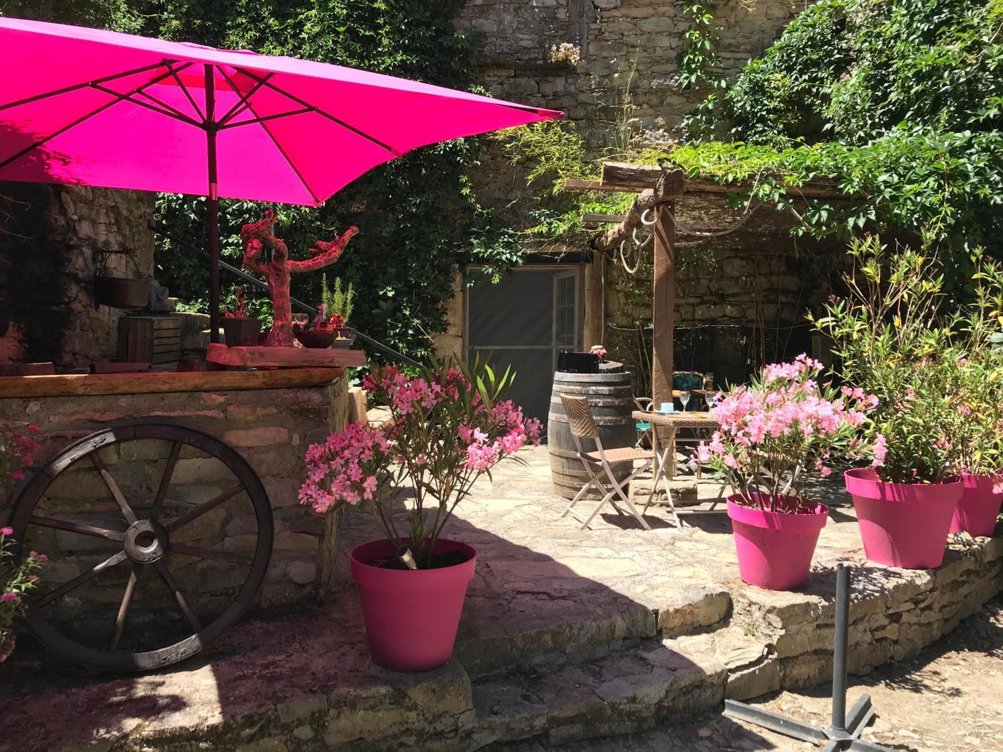 Bed and Breakfast Domaine D'Alcapies Saint-Jean-dʼAlcapiès Exteriér fotografie