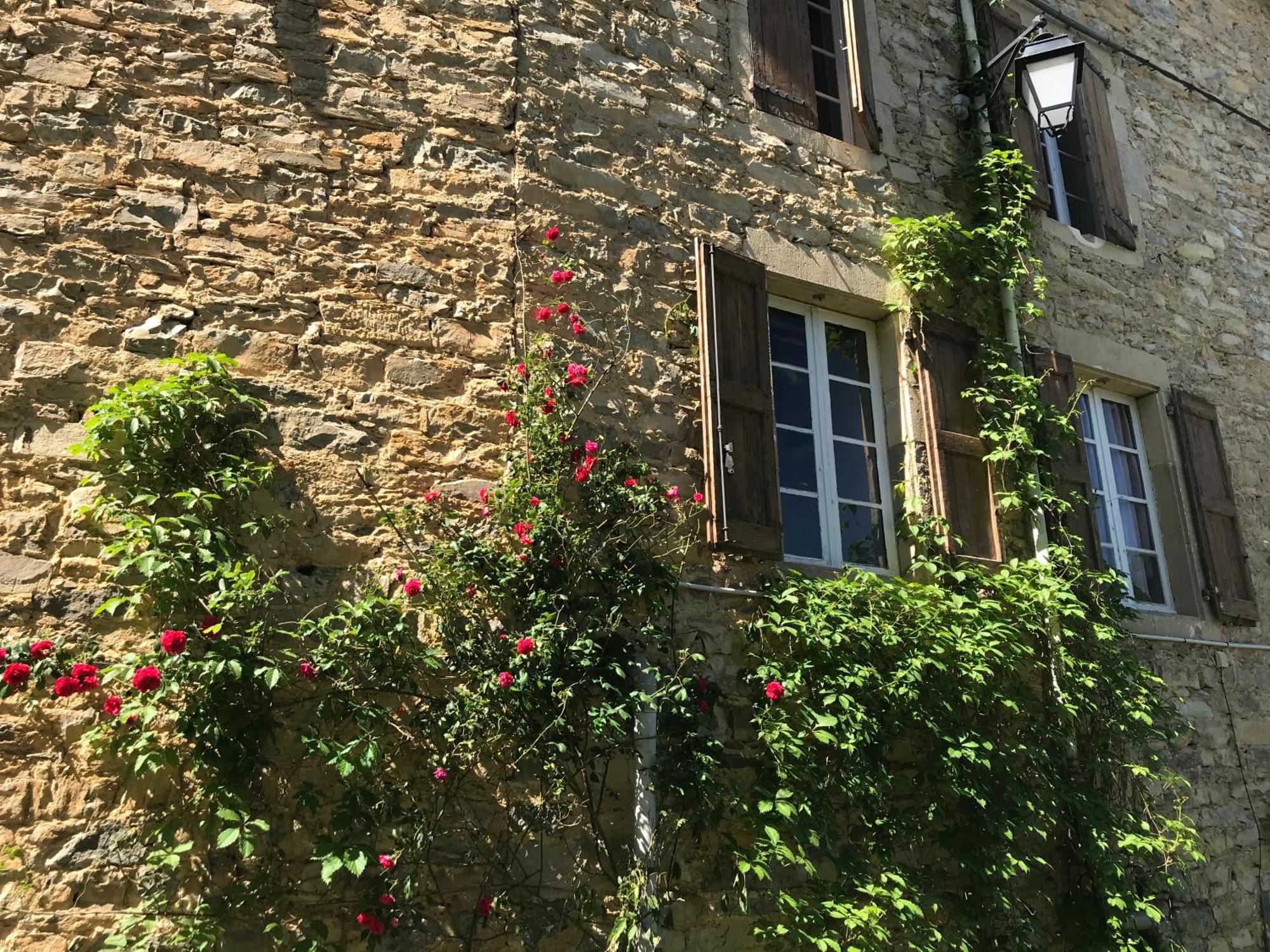 Bed and Breakfast Domaine D'Alcapies Saint-Jean-dʼAlcapiès Exteriér fotografie